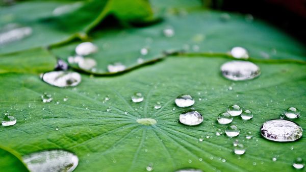 国际法规更新，PFAS,PFHXS相关